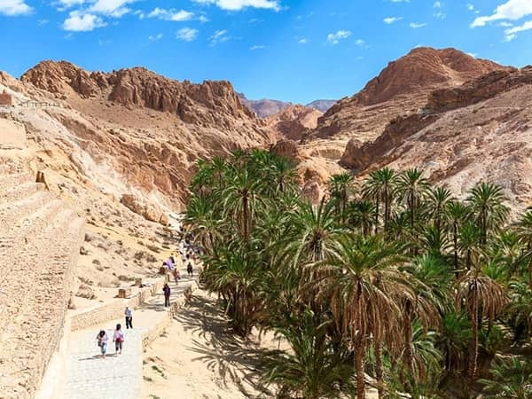 De ce merită să vizitezi Oaza Tozeur? Atracții, activități și sfaturi de călătorie în Tunisia
