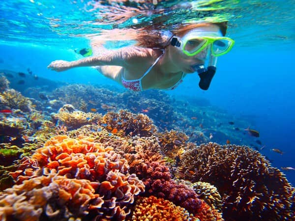 Makadi Bay pentru snorkeling: ce trebuie să știi înainte să intri în apă?