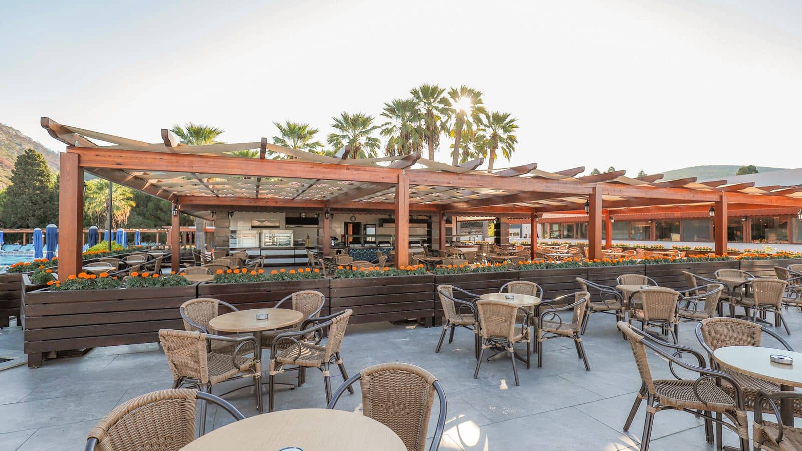 restaurants-snack-bar
