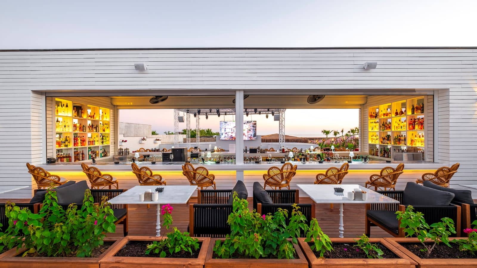 bars-ficus-bar