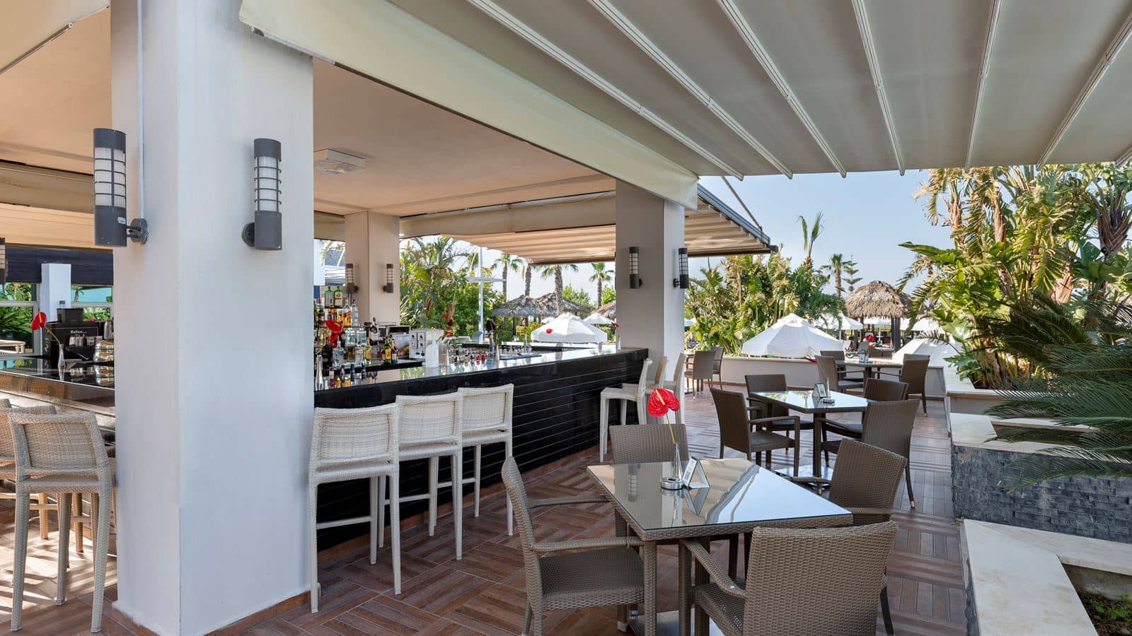 bars-island-bar