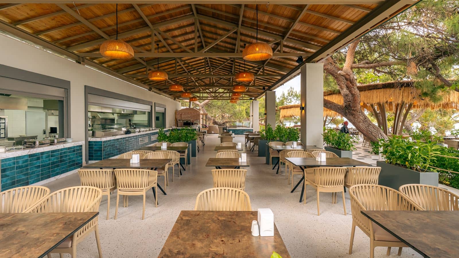 bars-the-compass-beach-bar