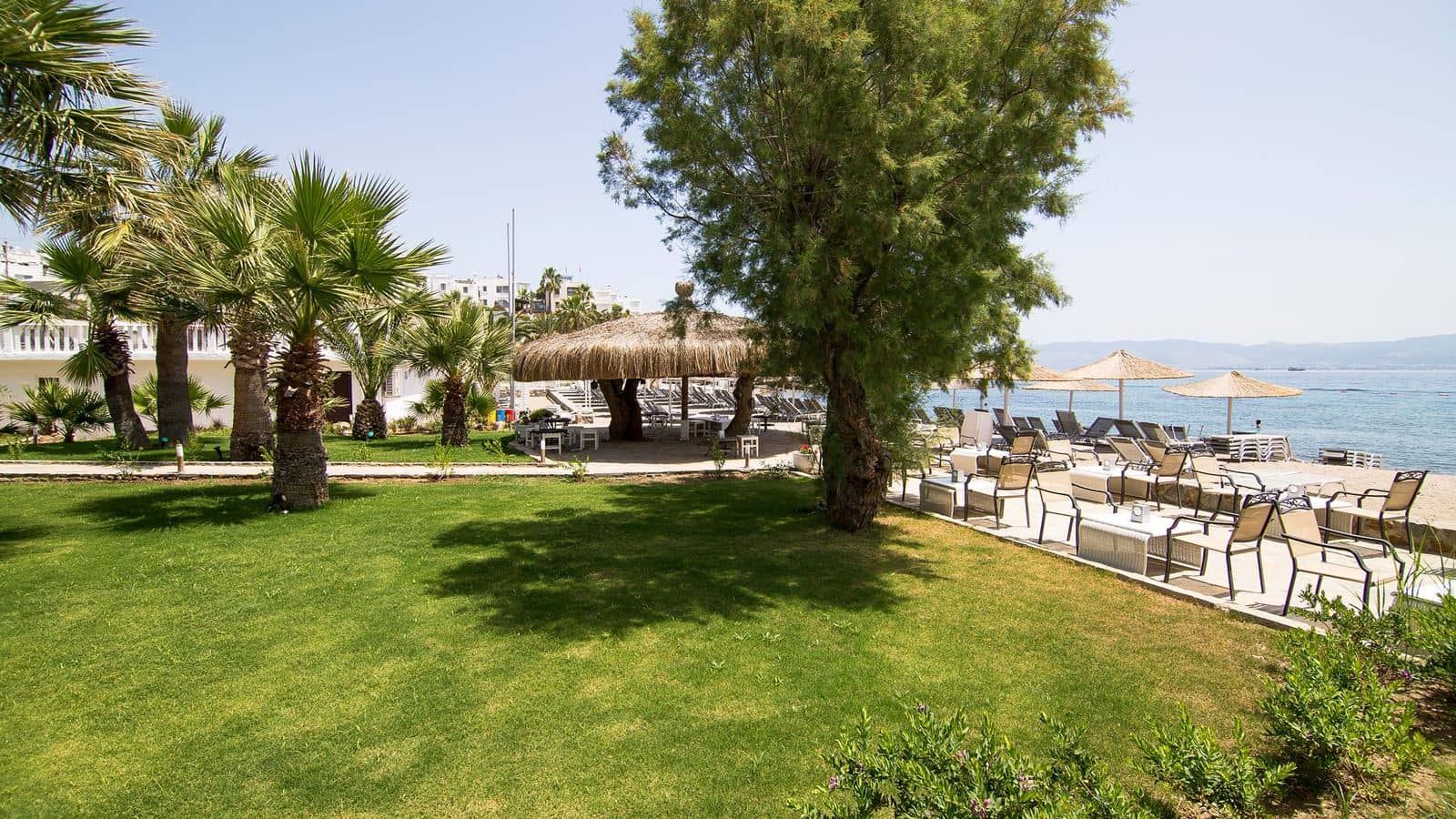 bars-beach-bar