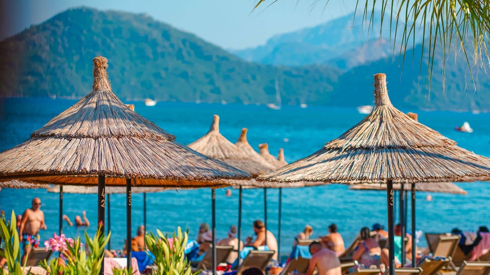 beach-beach