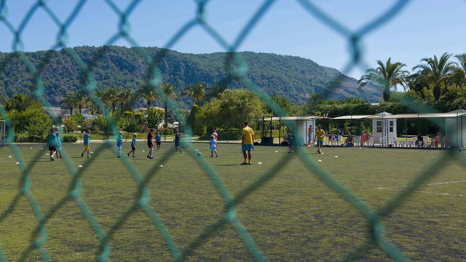 sport-sport