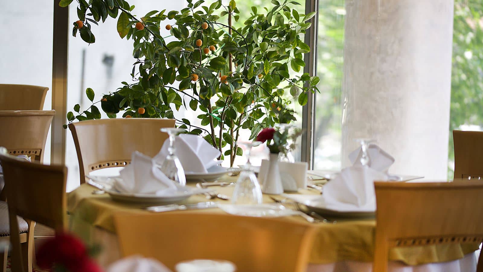 restaurants-restaurants