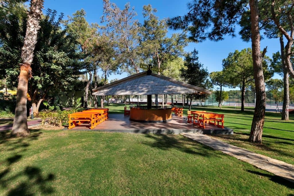 bars-beer-house-bar