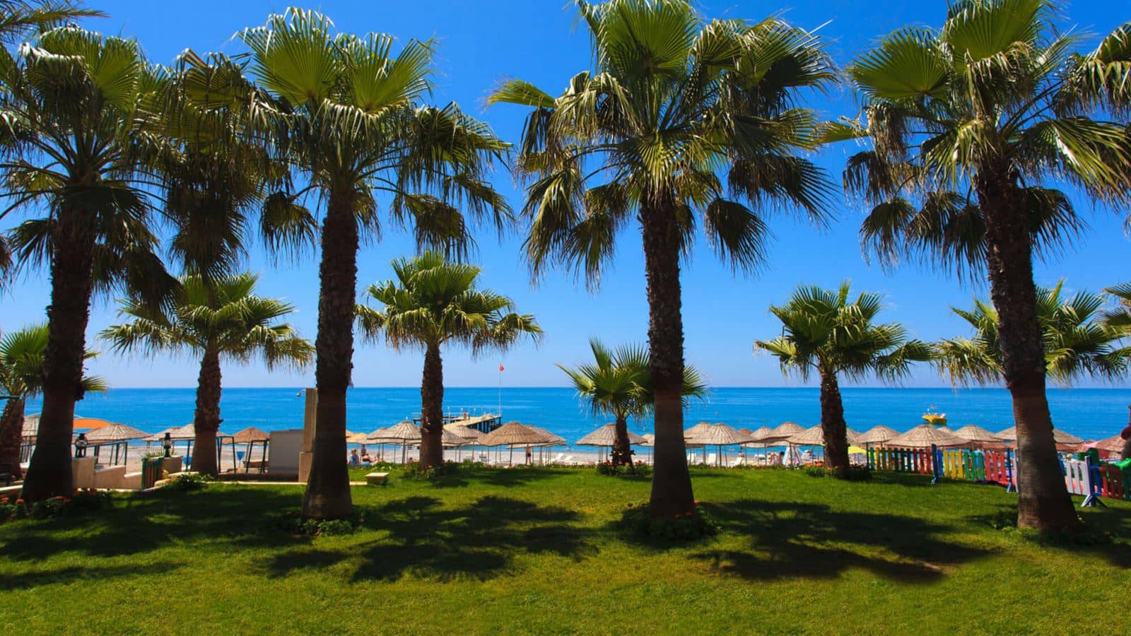 beach-beach