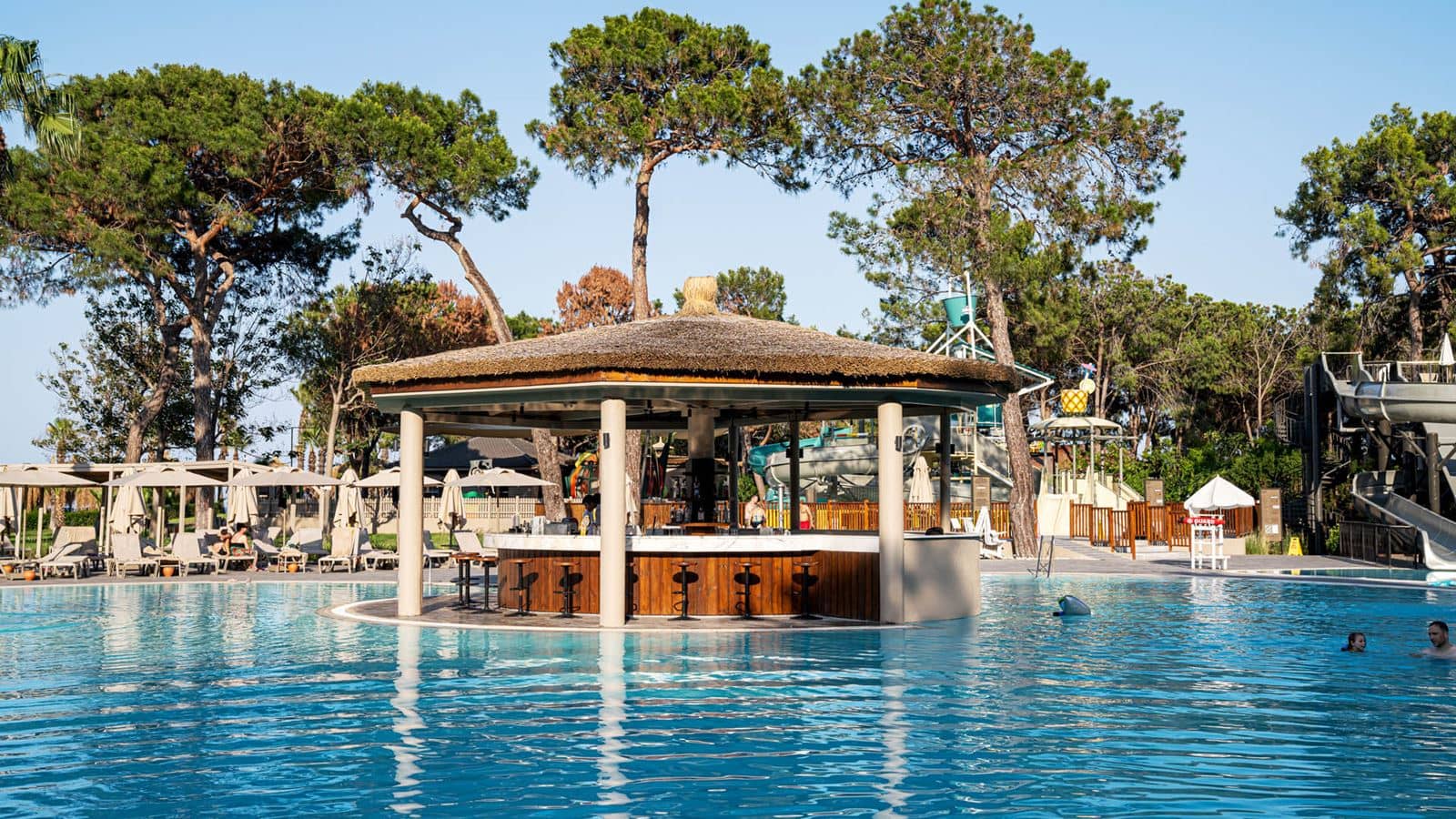 bars-balmy-pool-bar