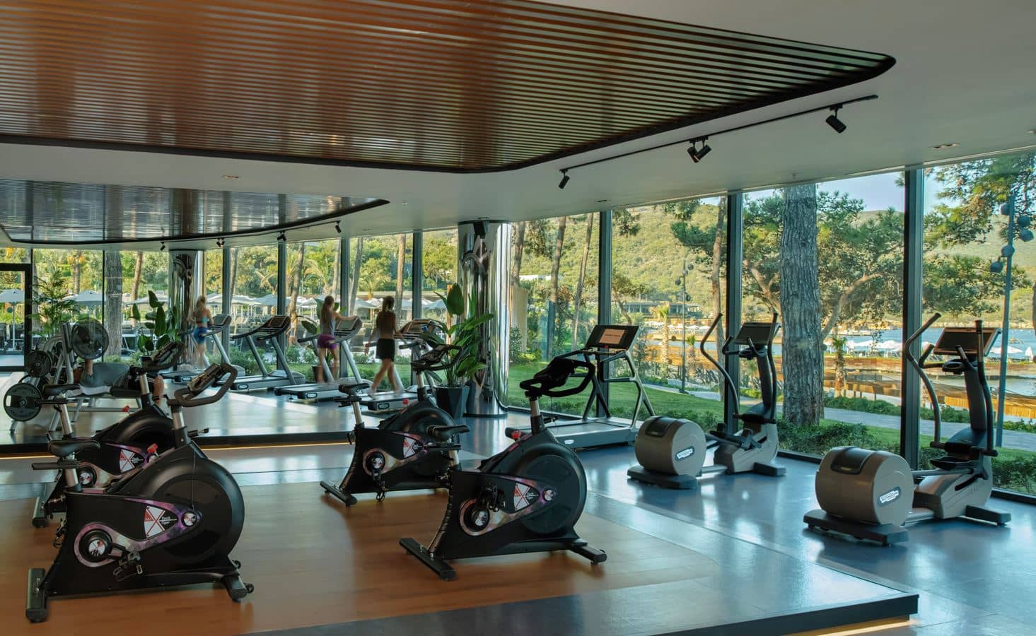 sport-sport