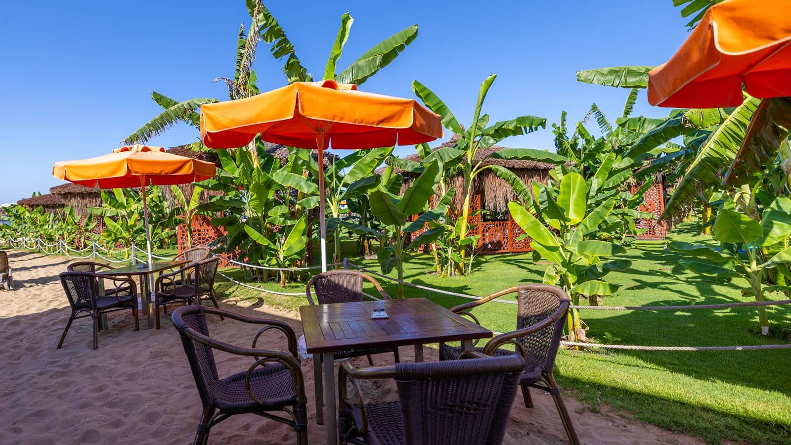 bars-polium-beach-bar