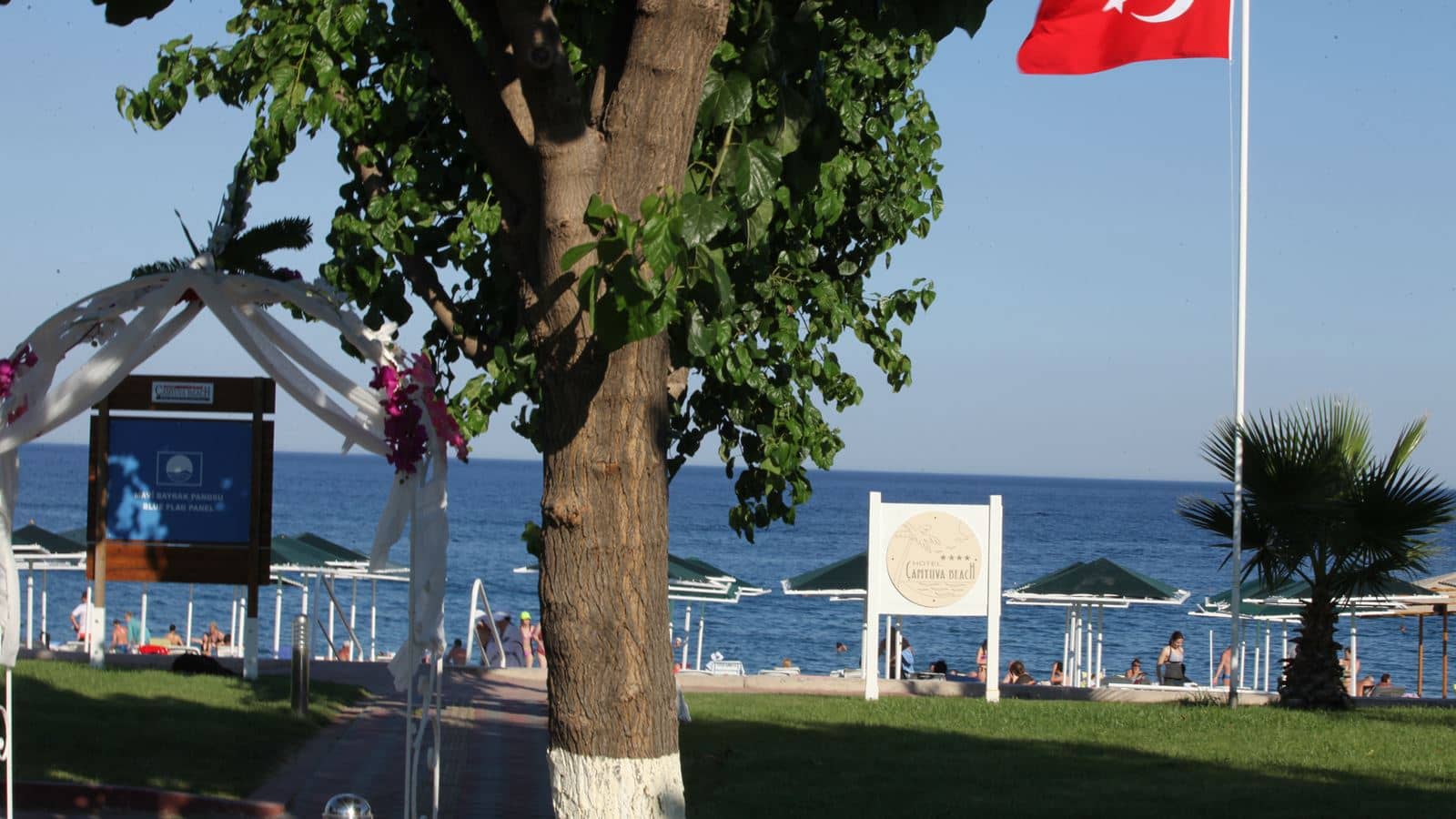 beach-beach
