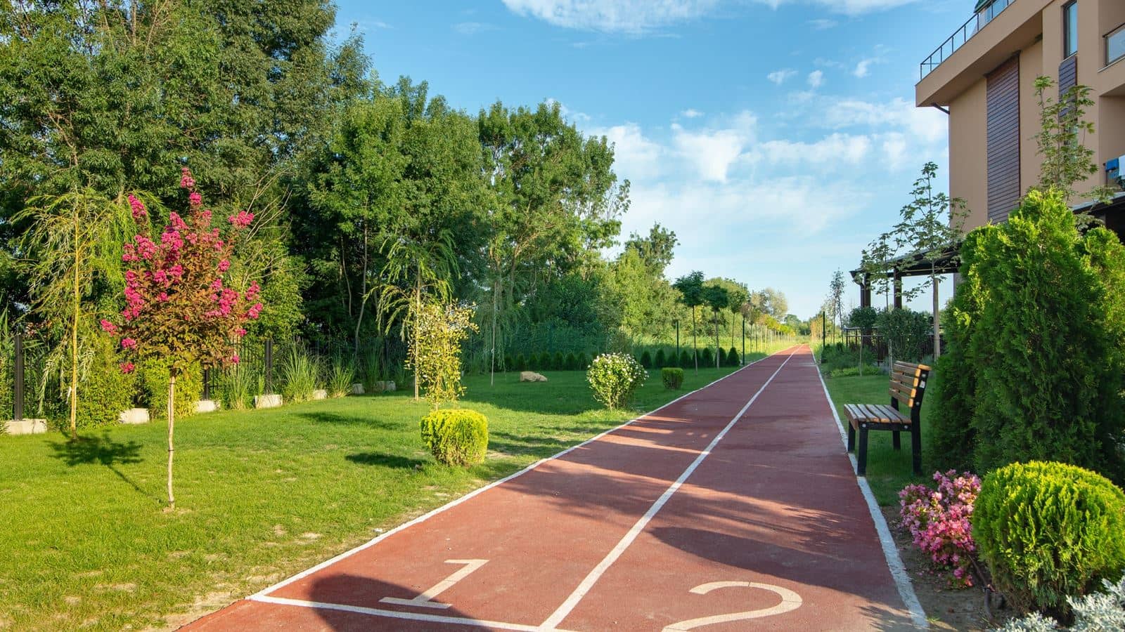 sport-sport