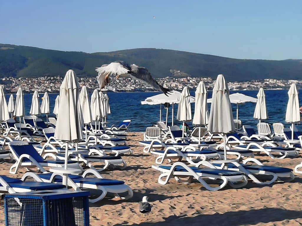 beach-beach