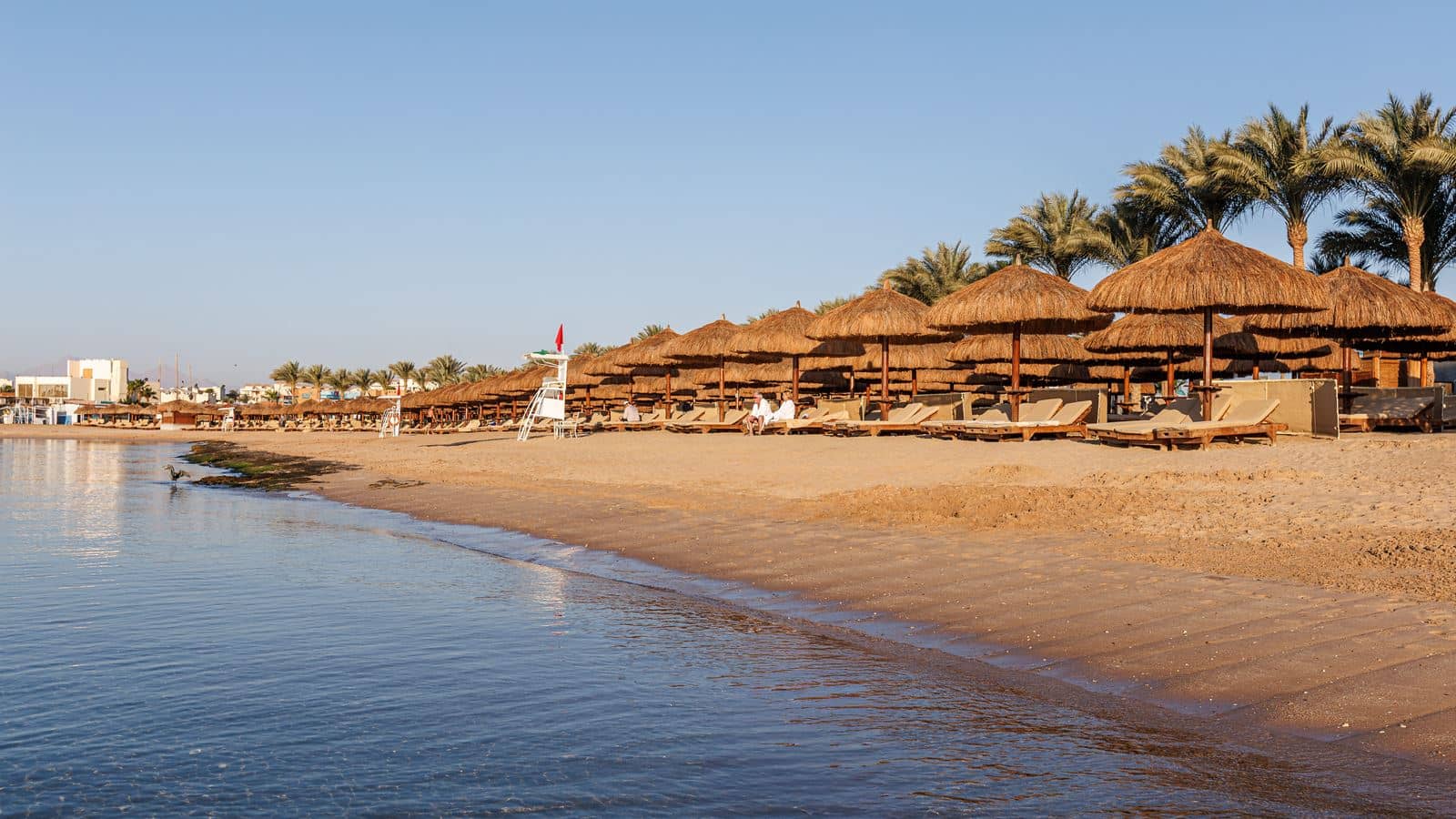 beach-beach