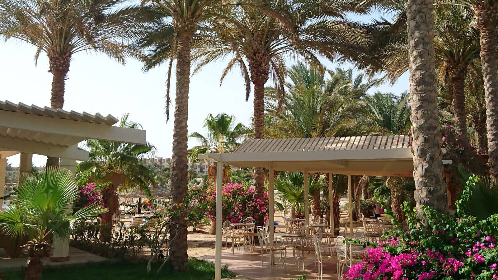 bars-beach-bar