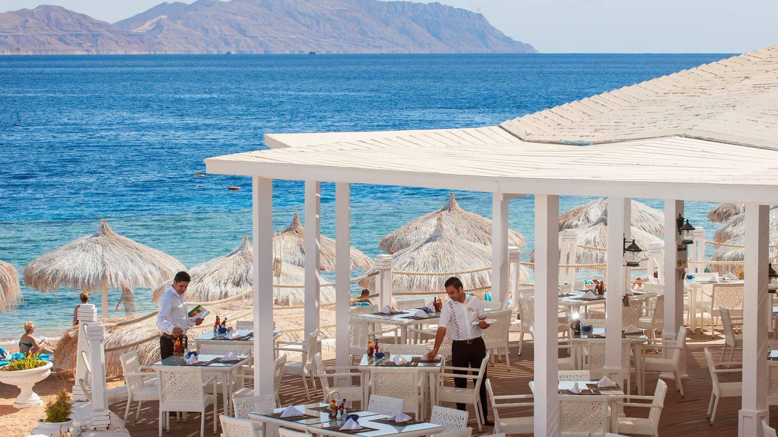 restaurants-basilico-restaurant
