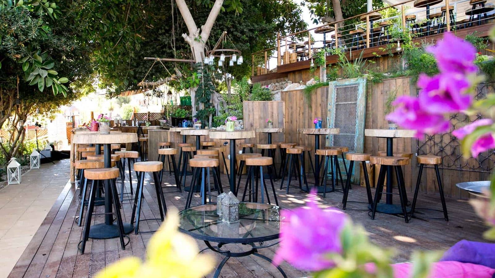 bars-antamoma-bar