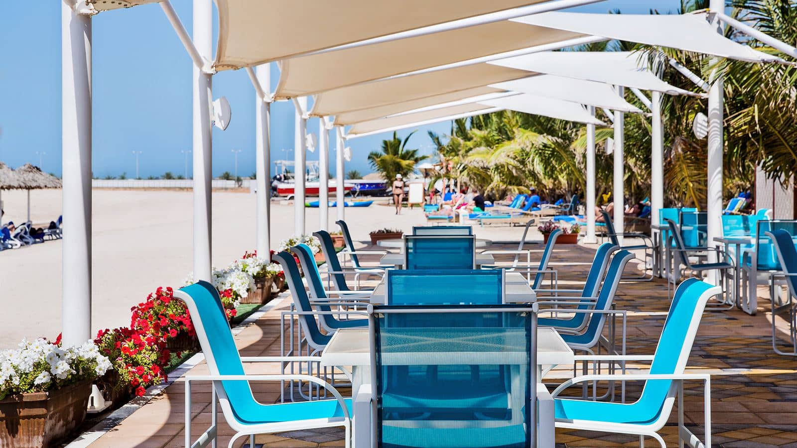 bars-turtle-beach