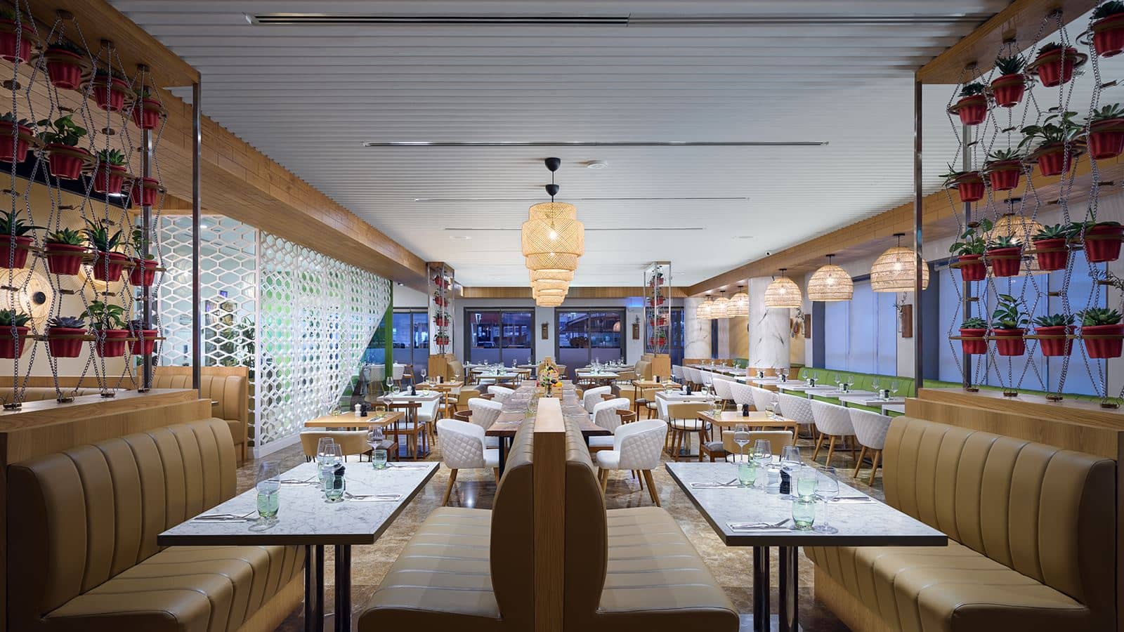restaurants-alloro
