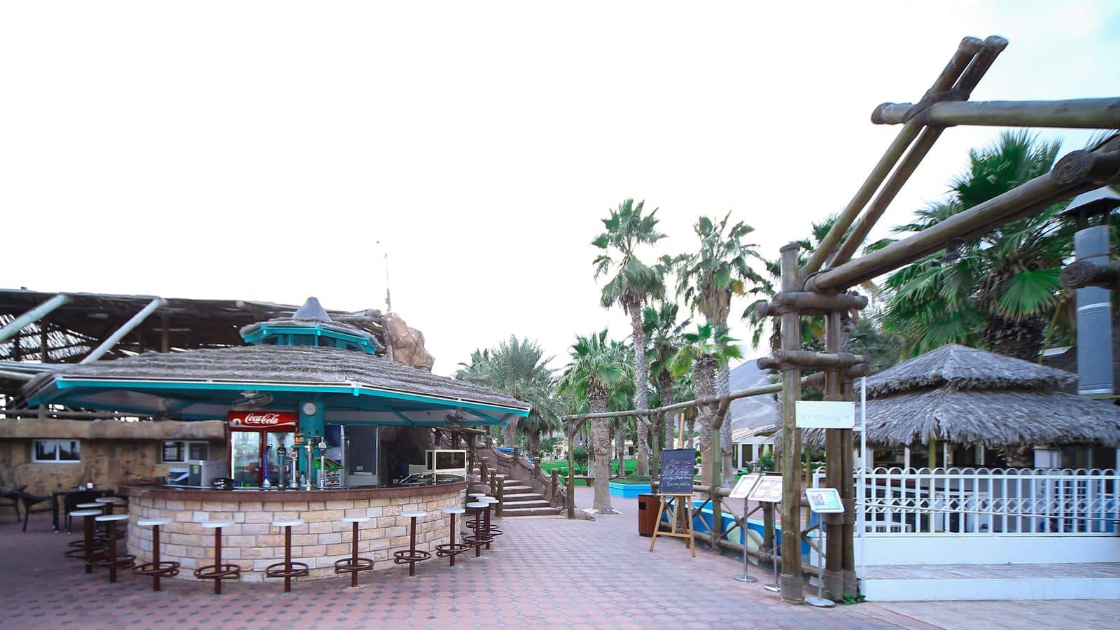 bars-snoopy-pool-bar-and-grill