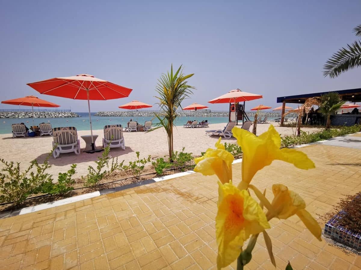 beach-beach
