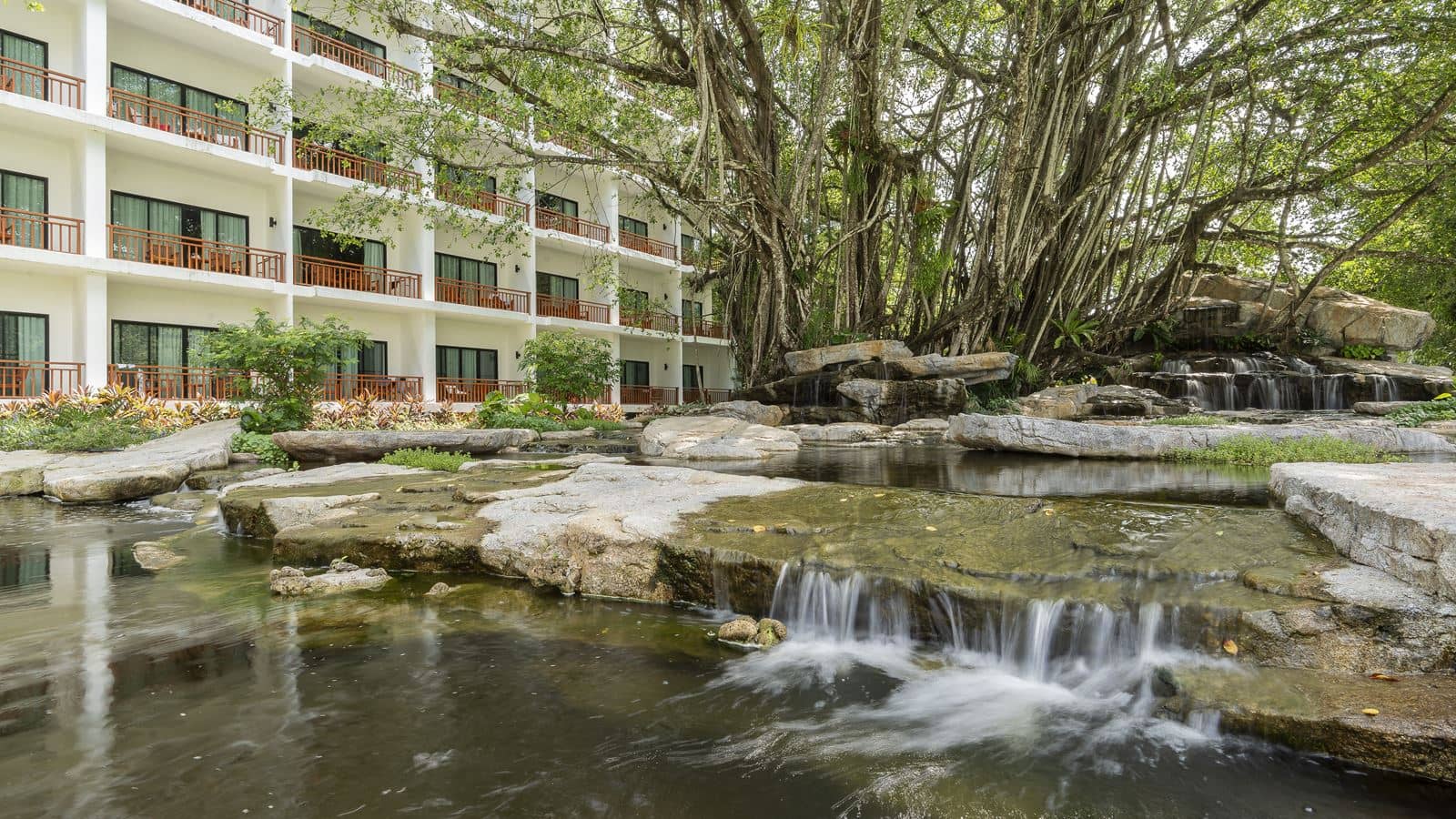 rooms-superior-rain-forest-view