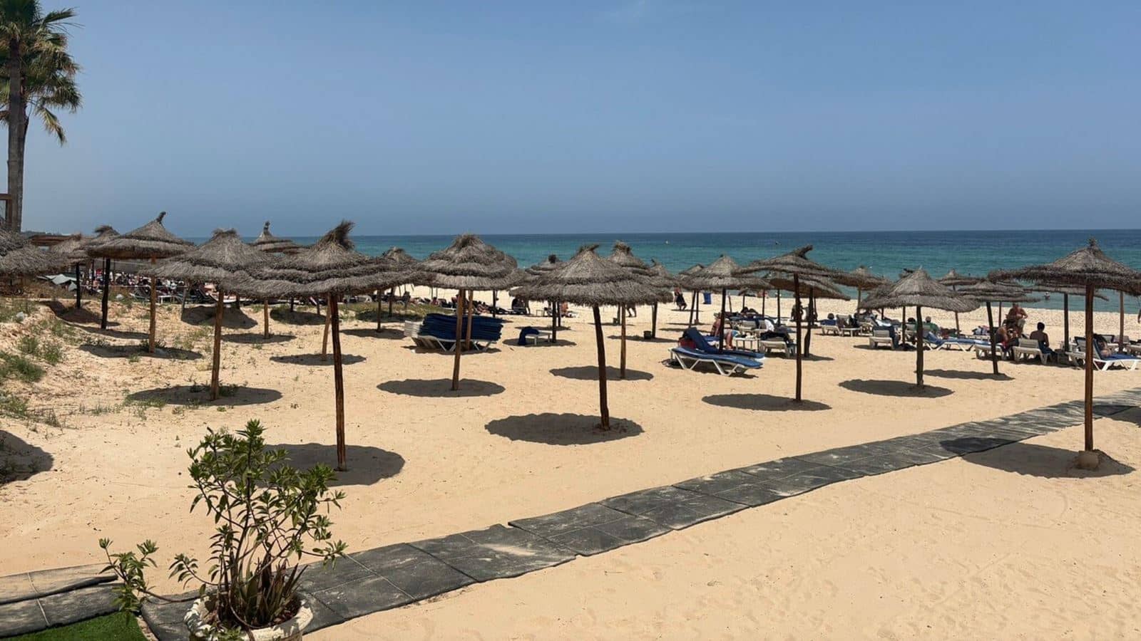 beach-beach