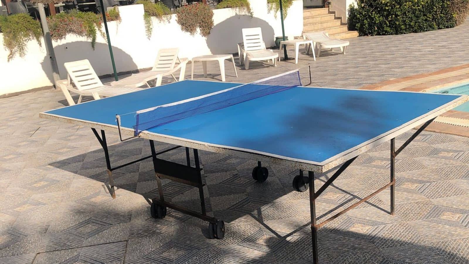 sport-sport