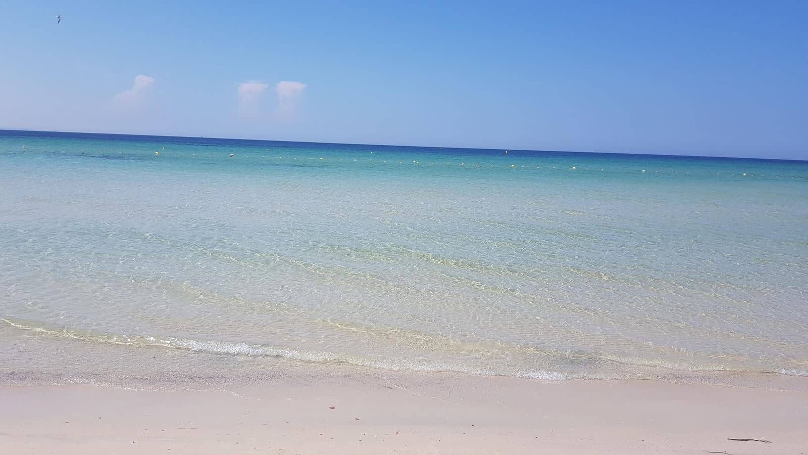 beach-other
