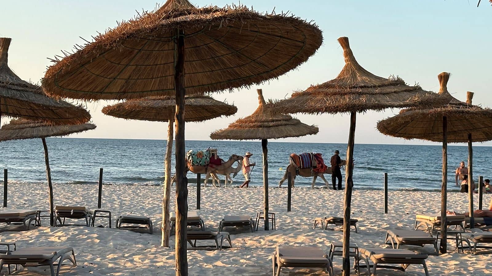 beach-beach