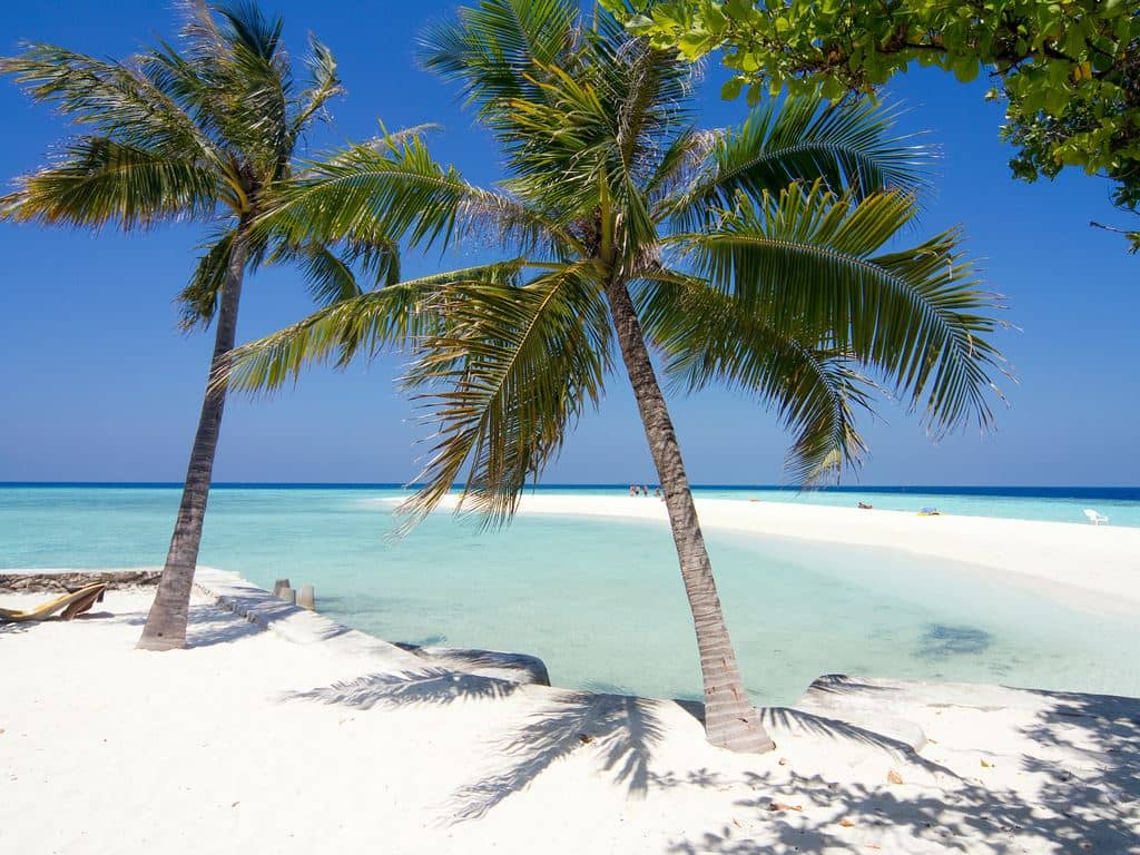 beach-beach