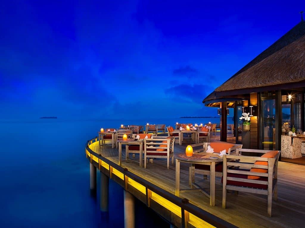 restaurants-white-orchid