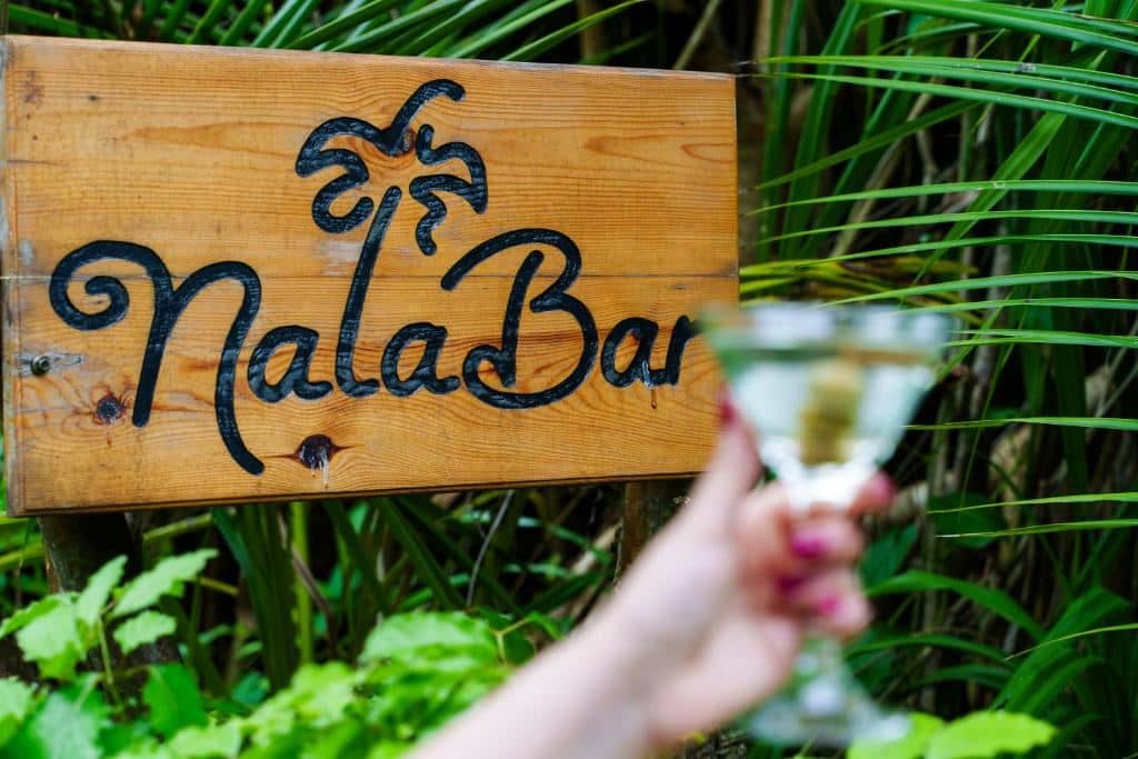 bars-nala-bar