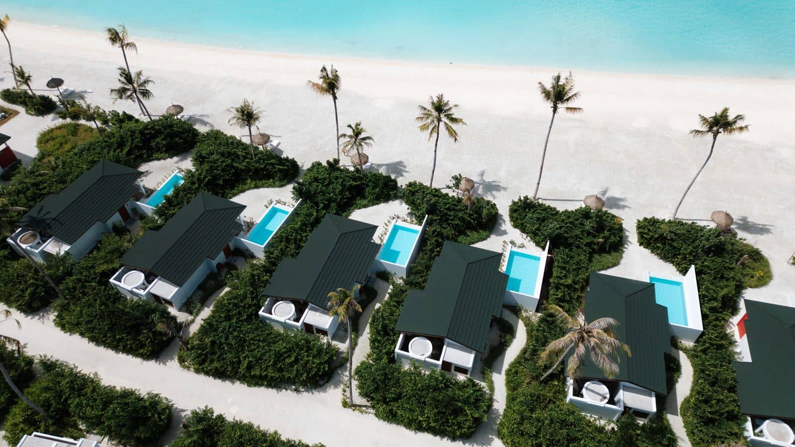 rooms-beach-suite-pool