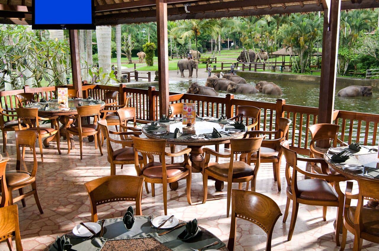 restaurants-yanies-restaurant