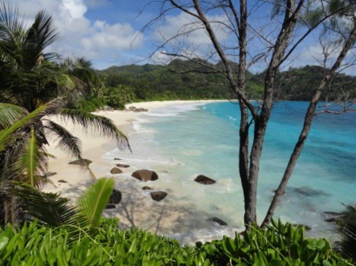 beach-beach