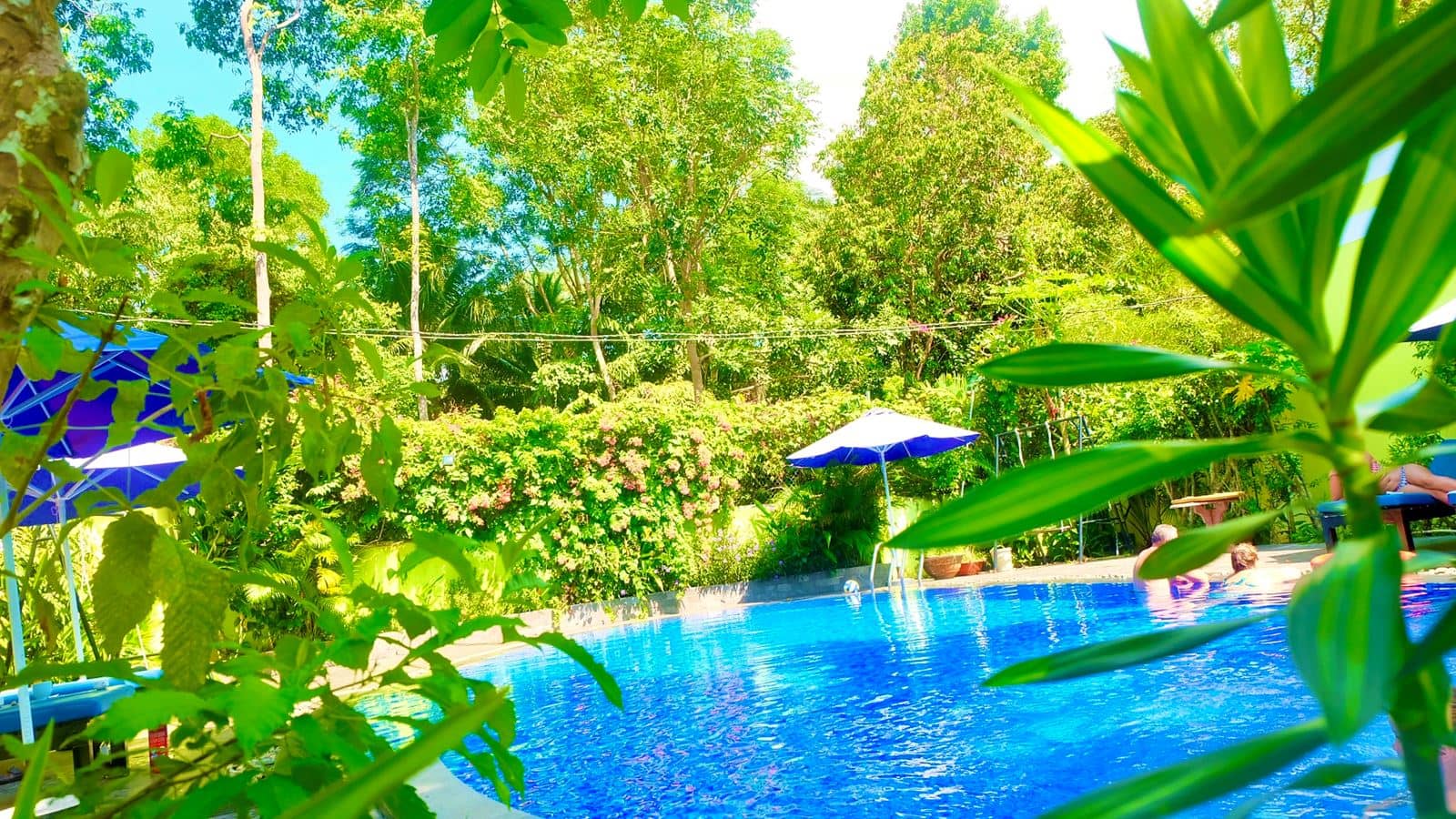 rooms-bungalow-superior-with-terrace