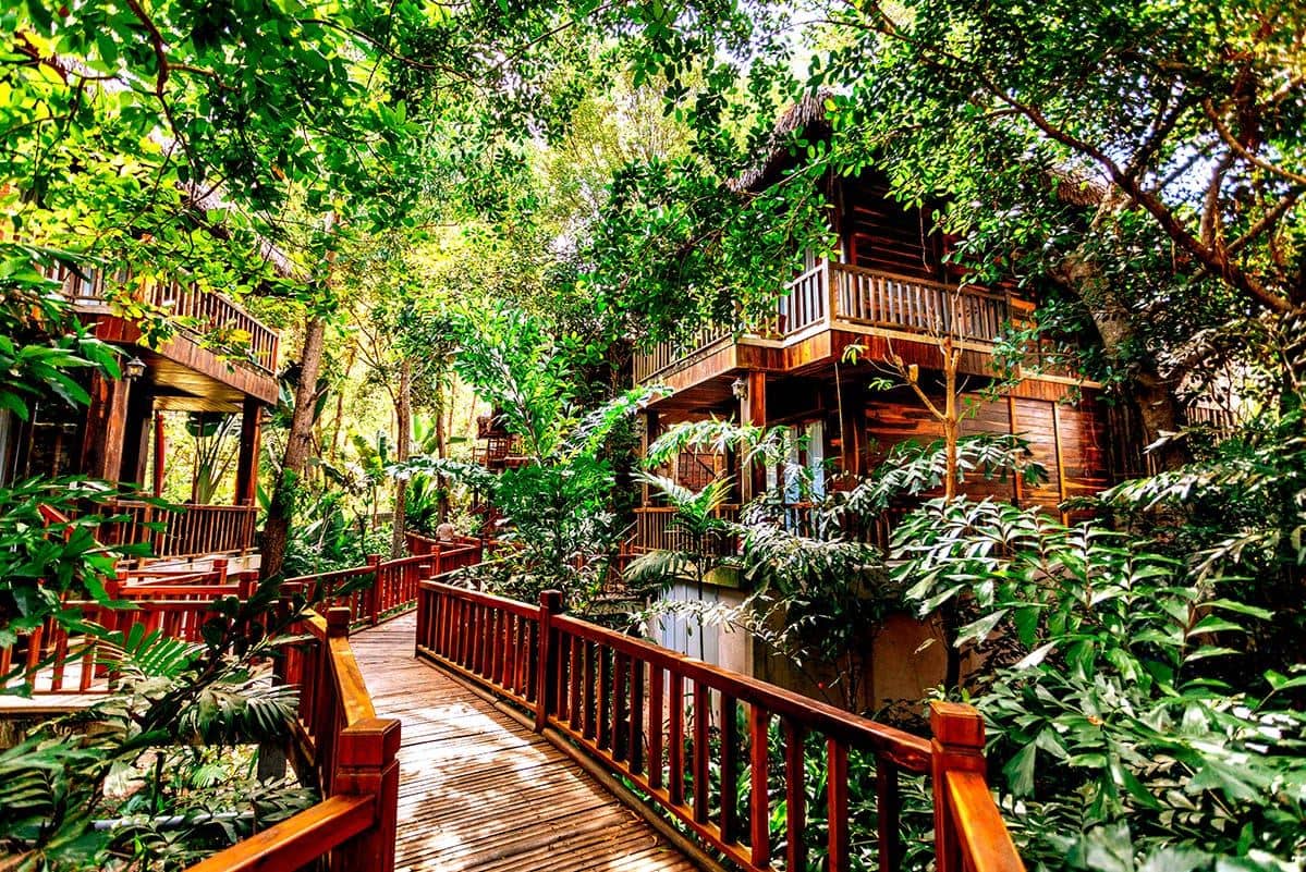 rooms-premium-jungle-bungalow-child-without-extra-bed