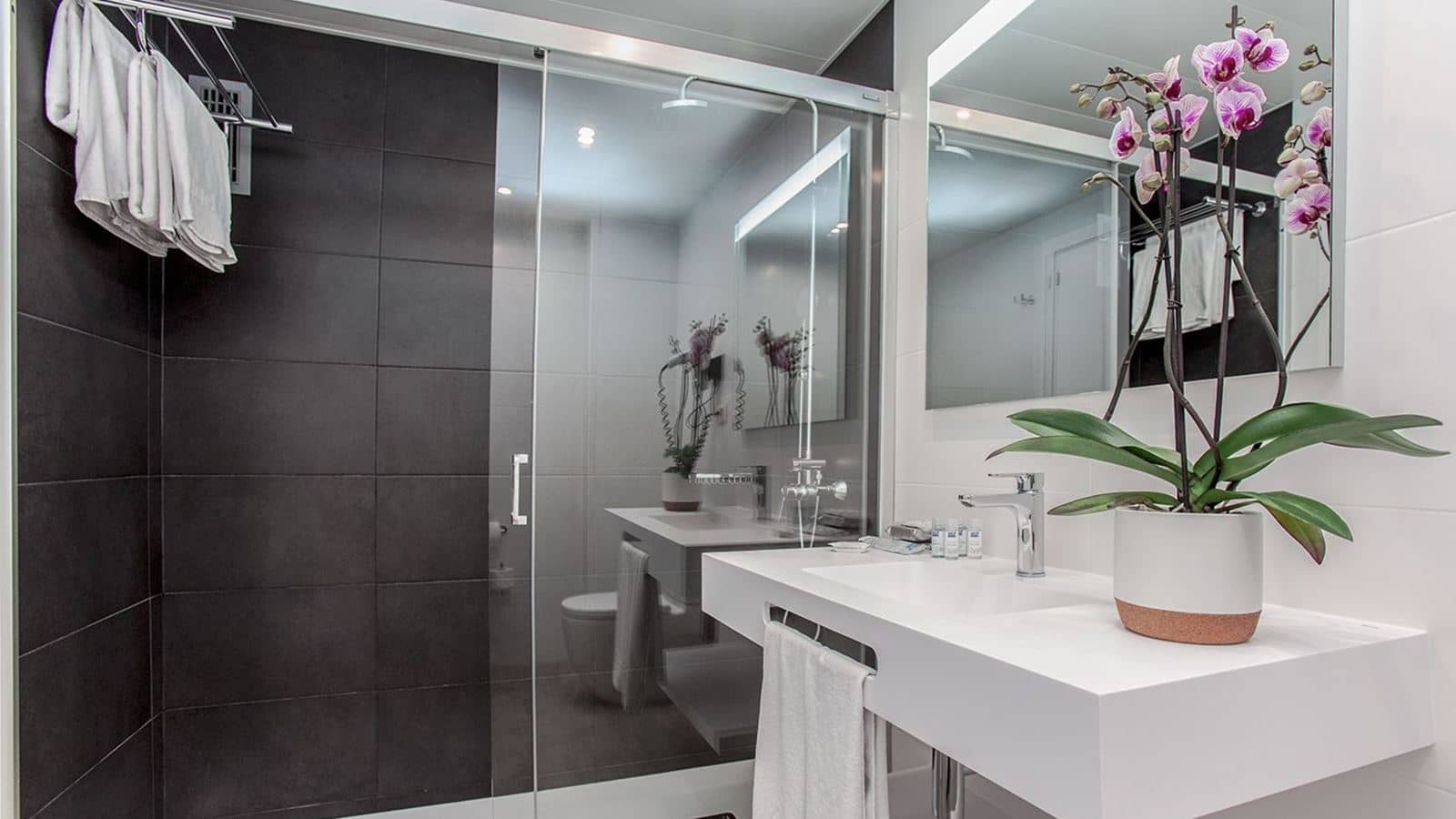 rooms-double-or-twin-standard