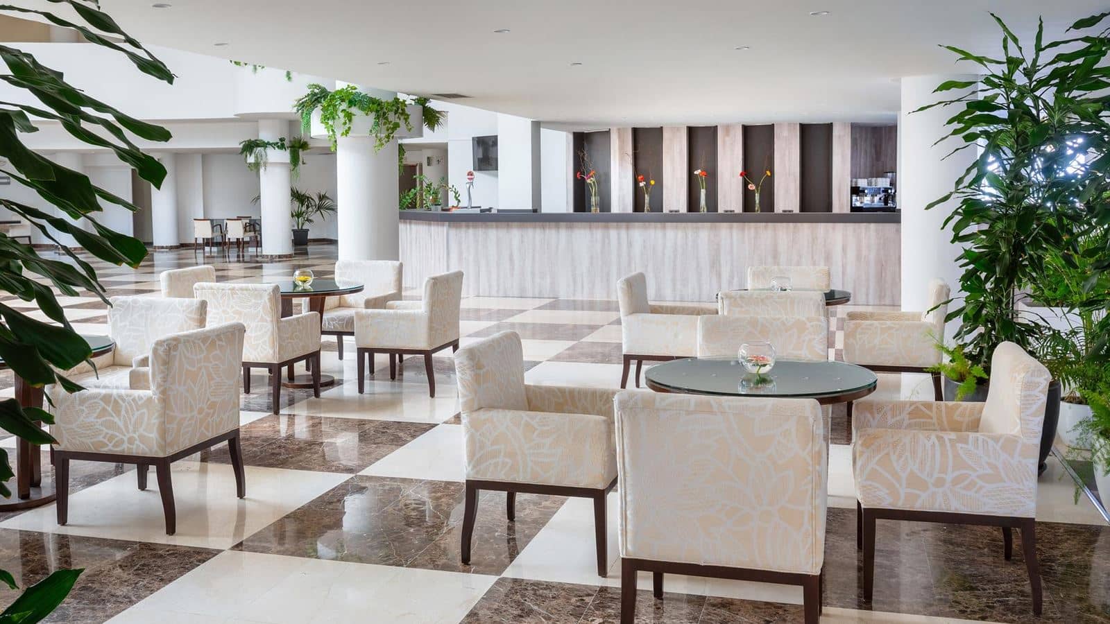 bars-lounge-bar
