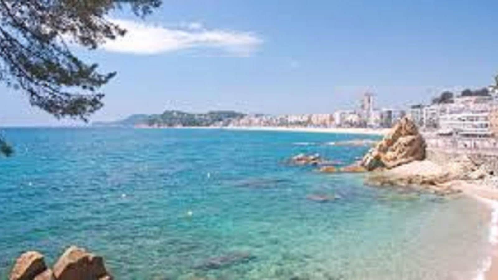 beach-beach