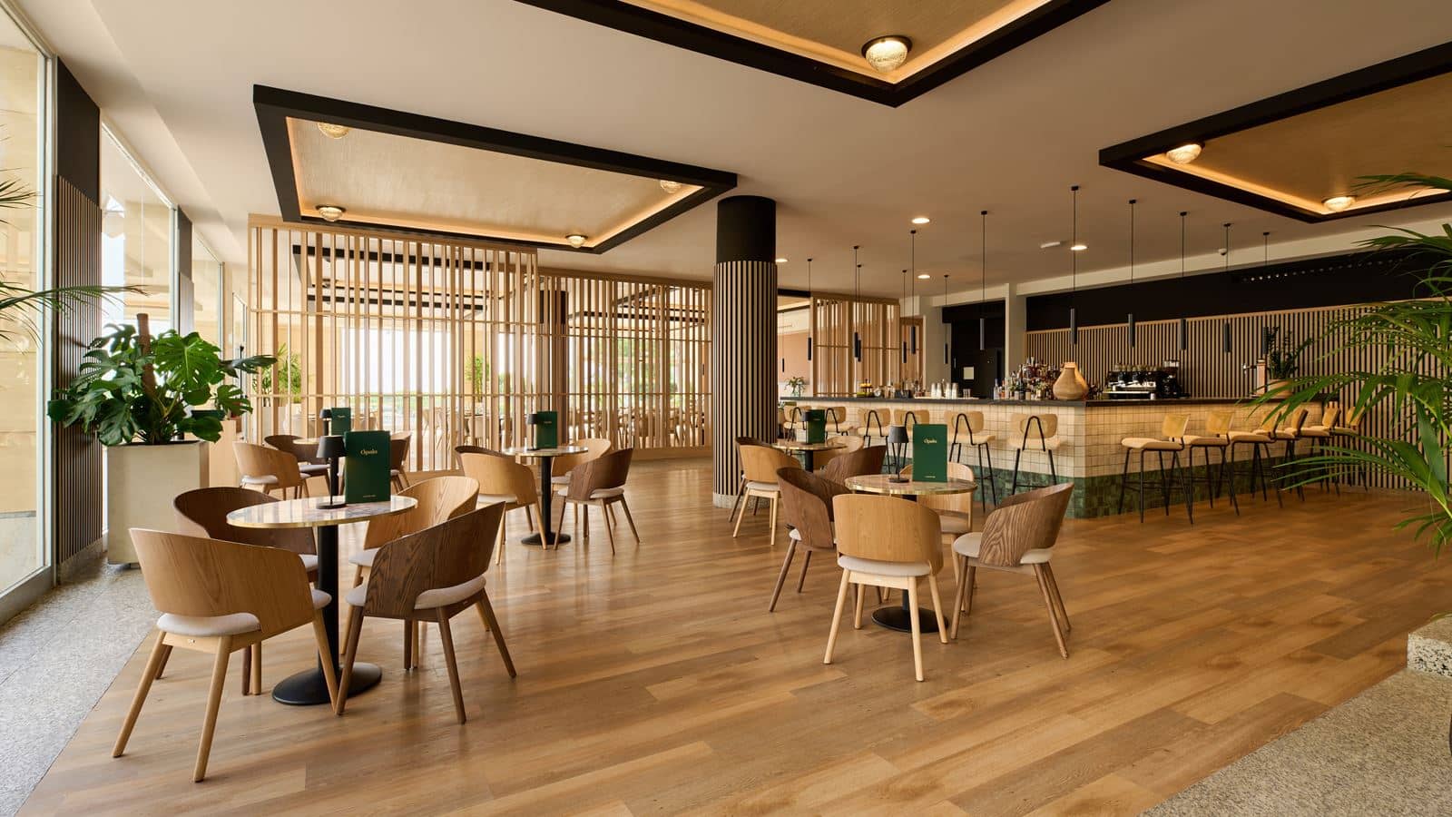 bars-ópalo-lounge-bar
