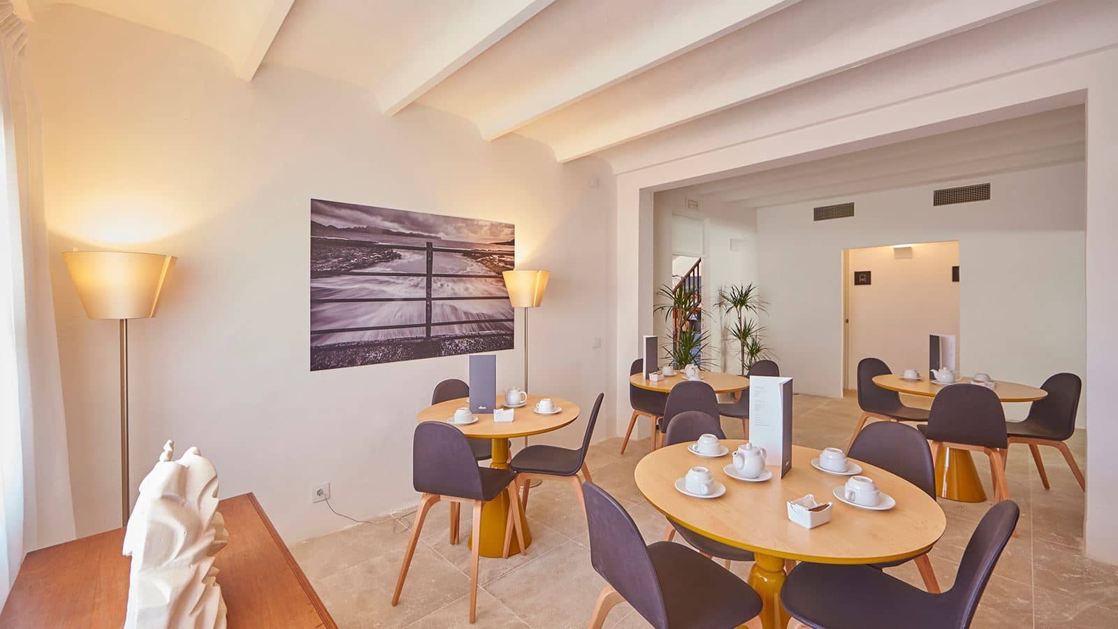 restaurants-snack-bar-saltco