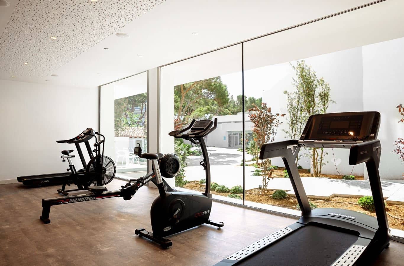 sport-sport