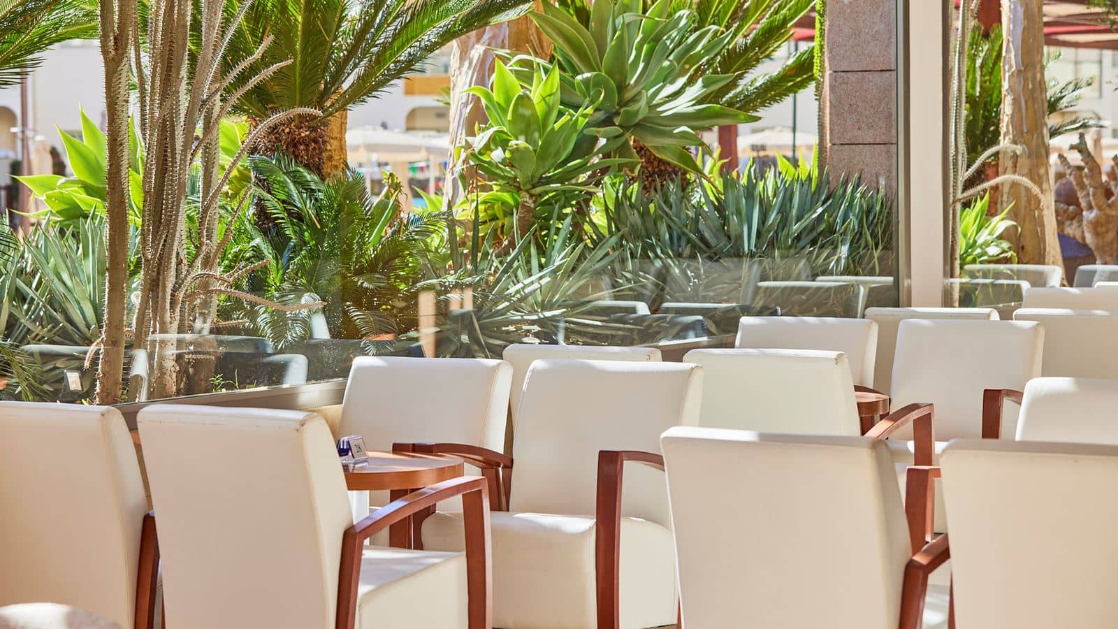 restaurants-el-patio-restaurant