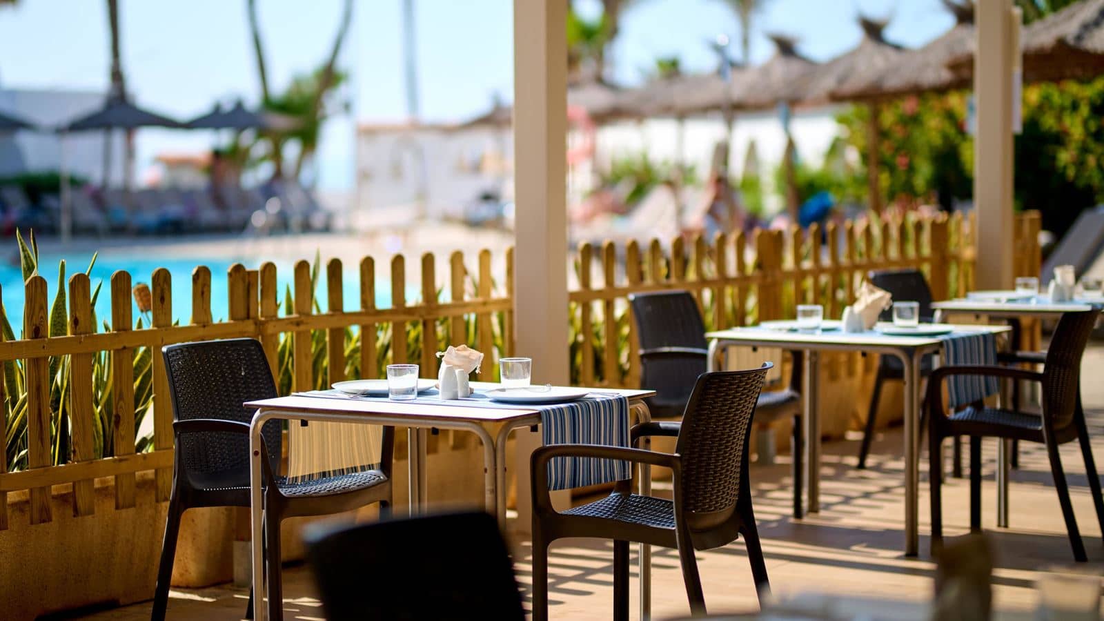 restaurants-terra