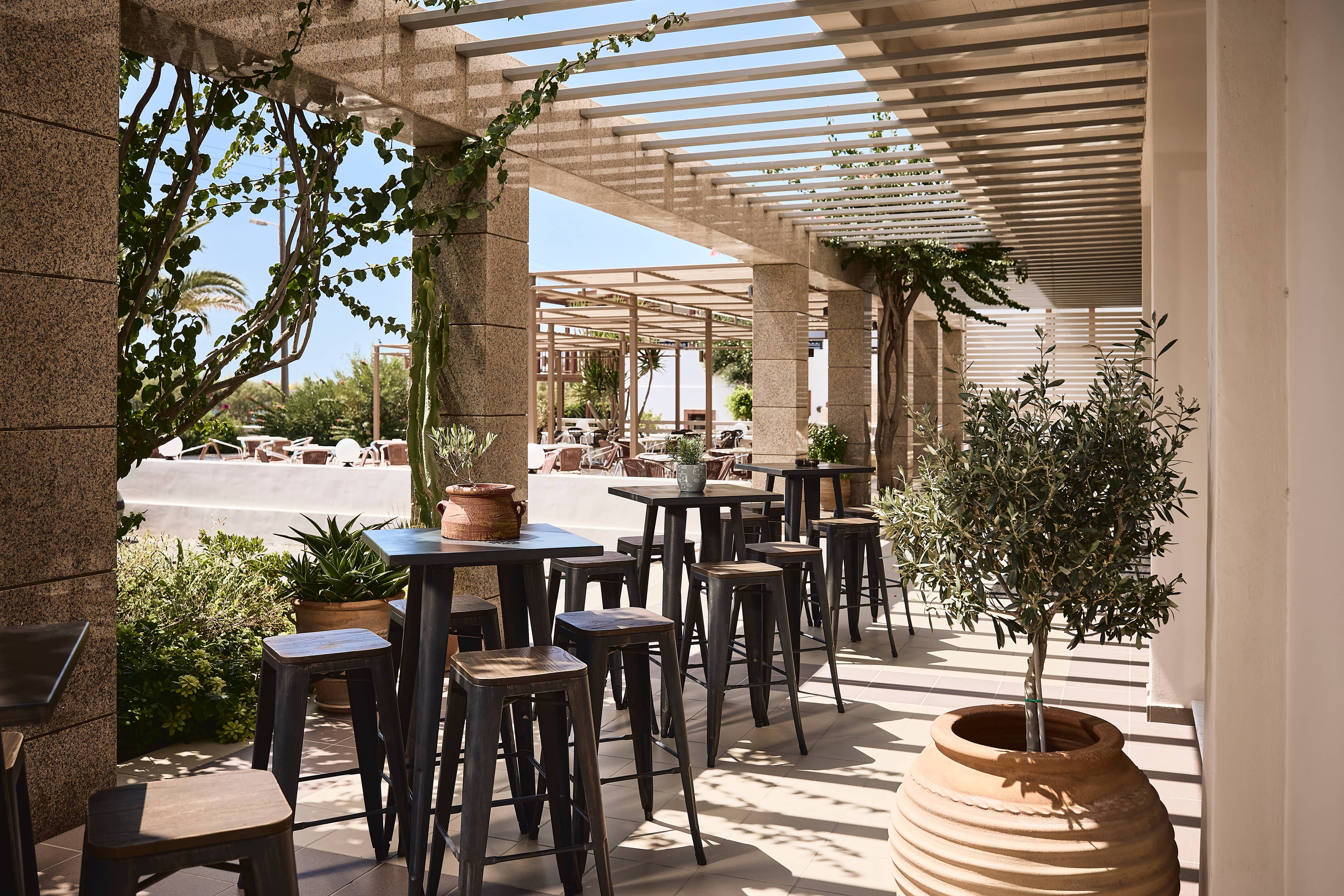bars-main-bar