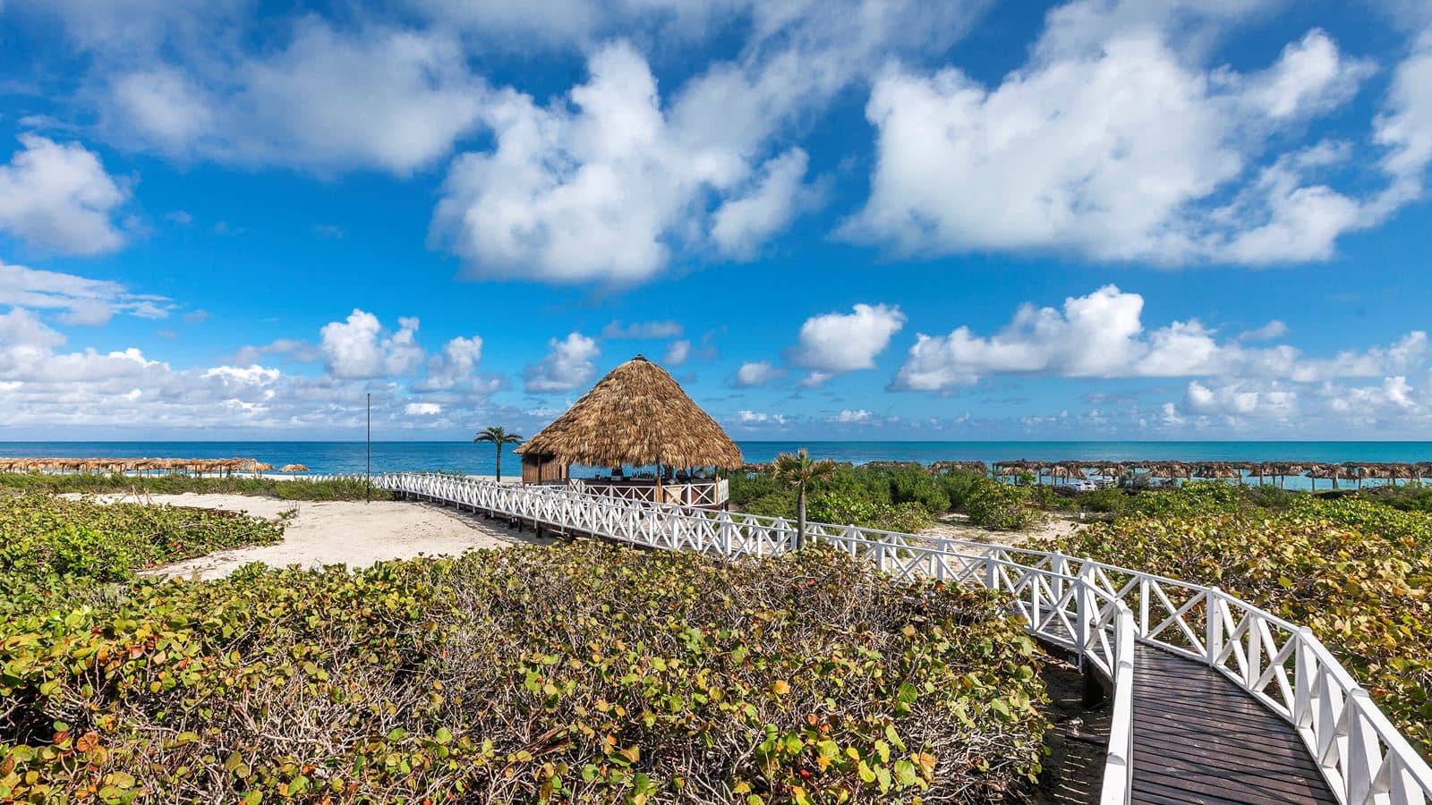 bars-bar-playa