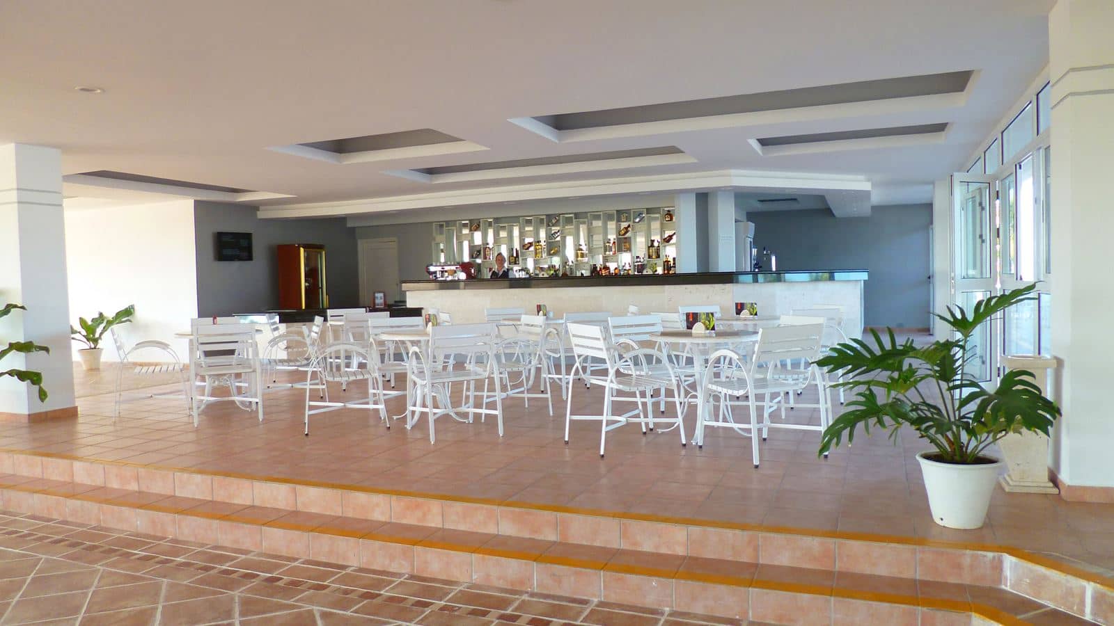 bars-el-manglar
